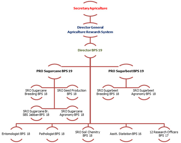 Organogram